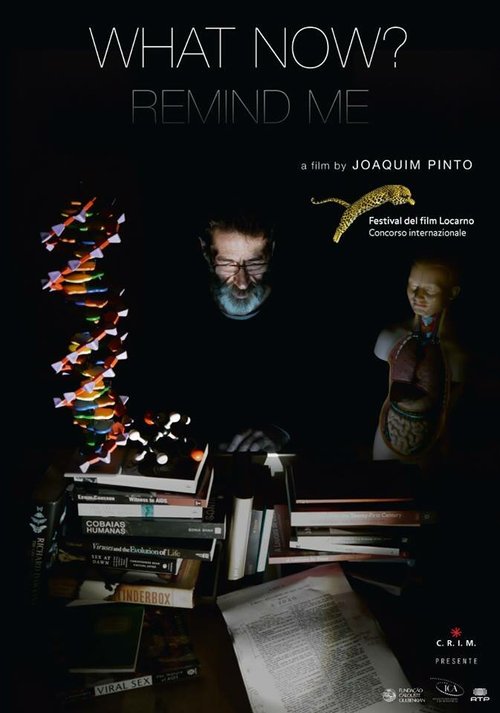 Обложка (Постер) А теперь? Напомни мне / E Agora? Lembra-me (2013) HDRip Обложка (Постер) А теперь? Напомни мне / E Agora? Lembra-me (2013) HDRip