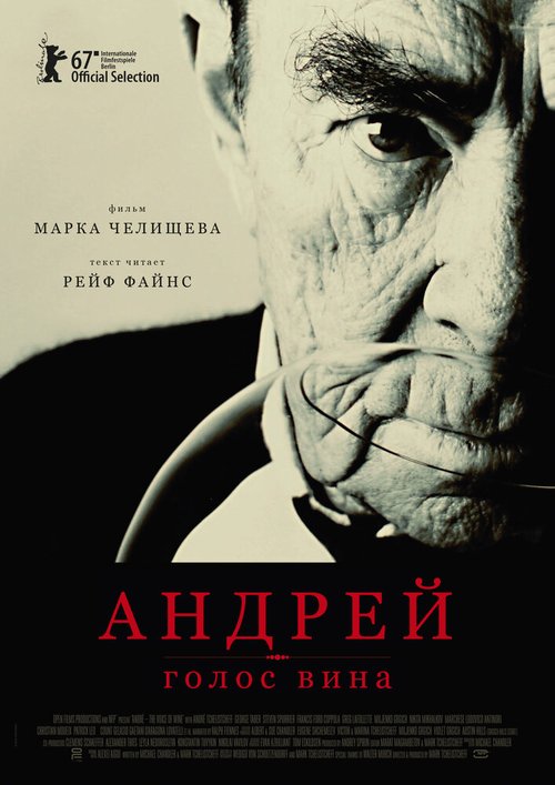 Обложка (Постер) Андрей — голос вина (2017) HDRip Обложка (Постер) Андрей — голос вина (2017) HDRip