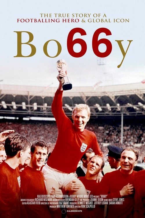 Обложка (Постер) Бобби / Bobby (2016) CAMRip Обложка (Постер) Бобби / Bobby (2016) CAMRip