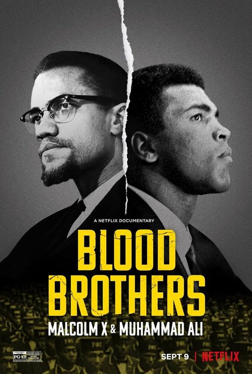 Обложка (Постер) Братья по крови: Малкольм Икс и Мохаммед Али / Blood Brothers: Malcolm X & Muhammad Ali (2021) HDRip