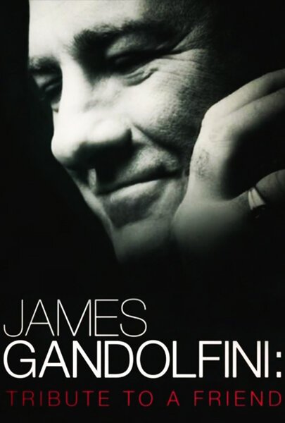 Обложка (Постер) James Gandolfini: Tribute to a Friend (2013) HDRip Обложка (Постер) James Gandolfini: Tribute to a Friend (2013) HDRip