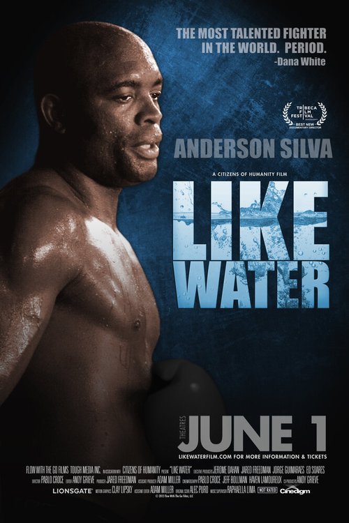 Обложка (Постер) Как вода / Like Water (2011) HDRip Обложка (Постер) Как вода / Like Water (2011) HDRip