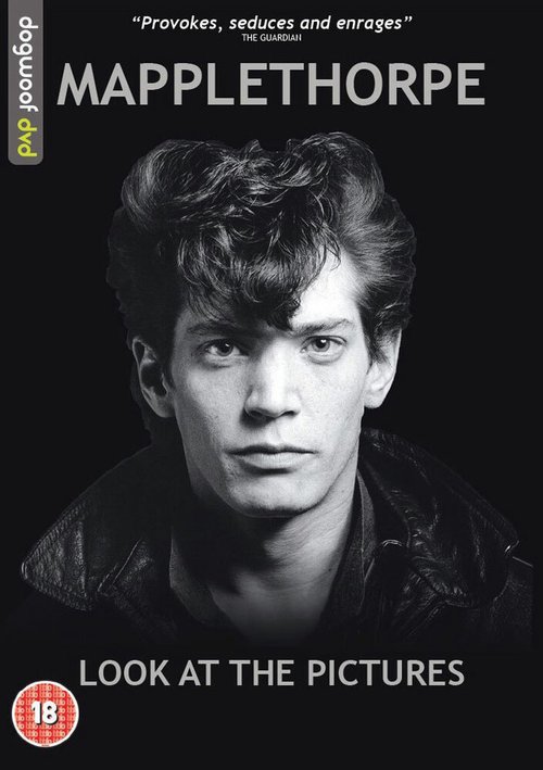Обложка (Постер) Мэпплторп: только полюбуйтесь / Mapplethorpe: Look at the Pictures (2016) CAMRip Обложка (Постер) Мэпплторп: только полюбуйтесь / Mapplethorpe: Look at the Pictures (2016) CAMRip