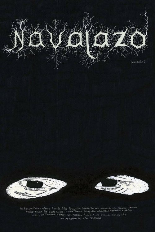 Обложка (Постер) Navajazo (2014) HDRip Обложка (Постер) Navajazo (2014) HDRip