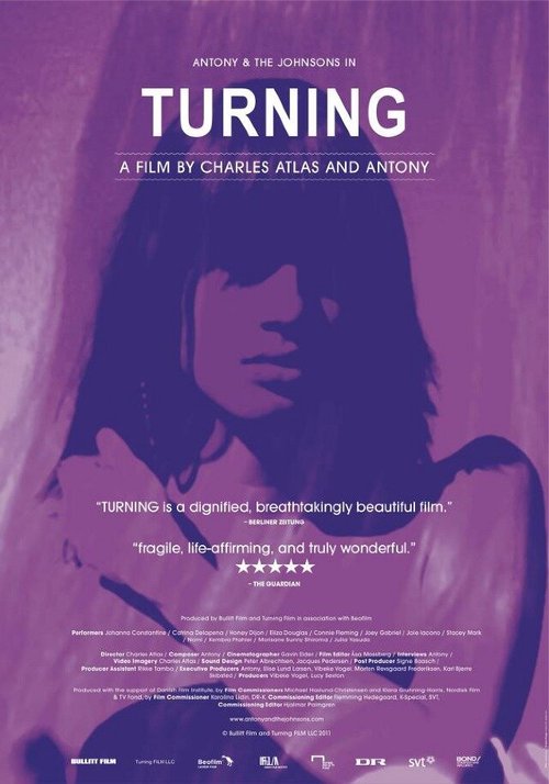 Обложка (Постер) Превращение / Turning (2012) HDRip