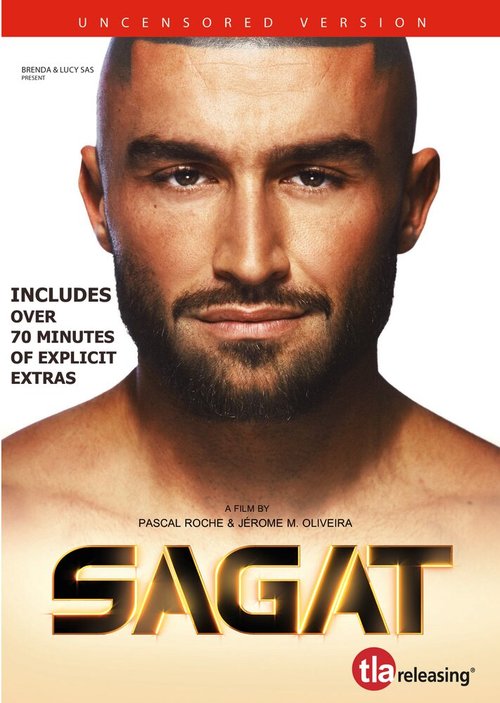 Обложка (Постер) Сагат / Sagat (2011) HDRip Обложка (Постер) Сагат / Sagat (2011) HDRip