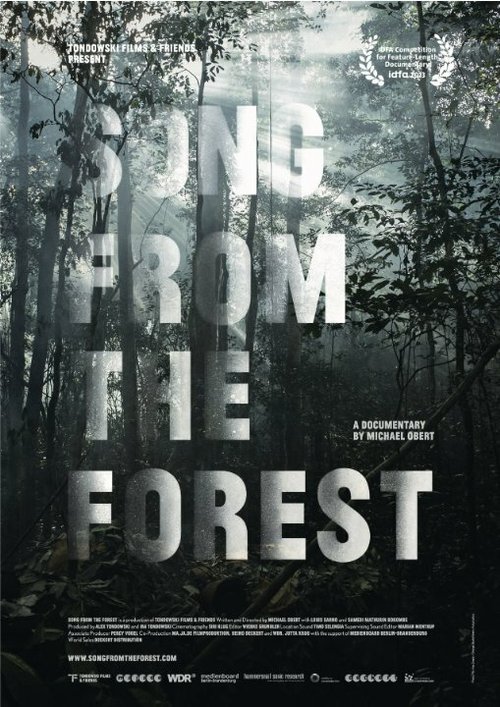 Обложка (Постер) Song from the Forest (2013) HDRip