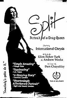 Обложка (Постер) Split (1993) HDRip Обложка (Постер) Split (1993) HDRip