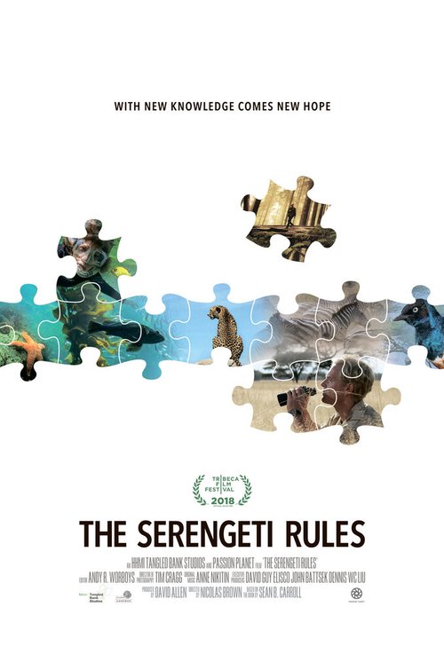 Обложка (Постер) Законы Серенгети / The Serengeti Rules (2018) HDRip Обложка (Постер) Законы Серенгети / The Serengeti Rules (2018) HDRip