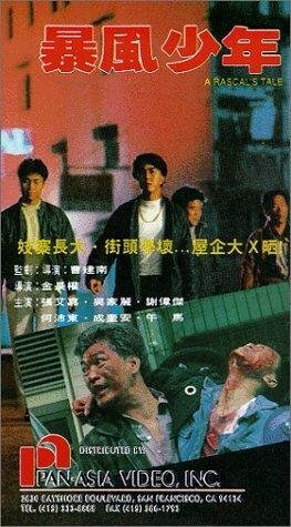 Обложка (Постер) Bao feng shao nian (1991) HDRip
