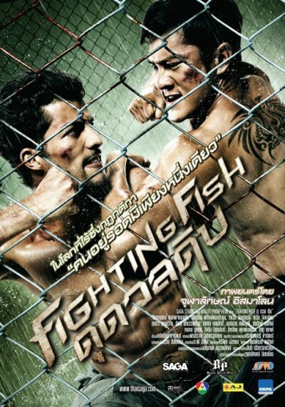 Обложка (Постер) Бойцовая рыбка / Fighting Fish (2012) HDRip
