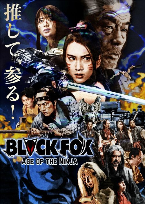 Обложка (Постер) Чёрная лиса: Эпоха ниндзя / Black Fox: Age of the Ninja (2019) HDRip
