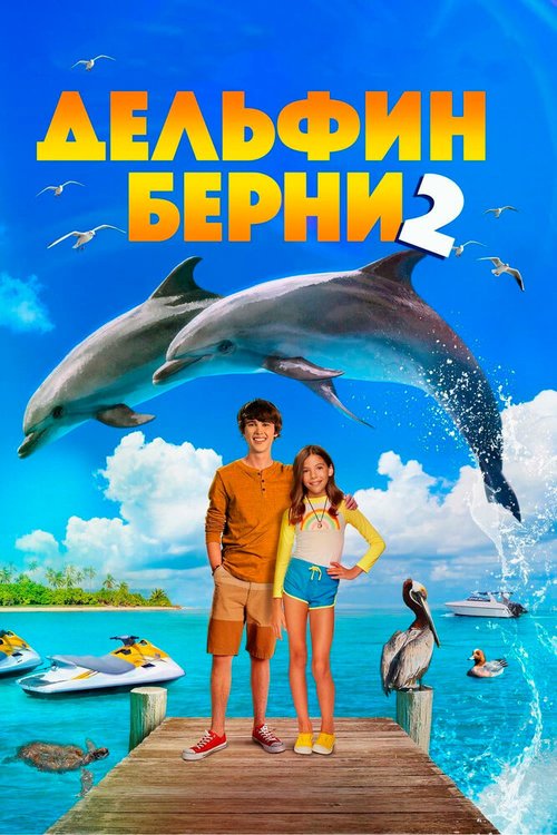 Обложка (Постер) Дельфин Берни 2 / Bernie the Dolphin 2 (2019) HDRip