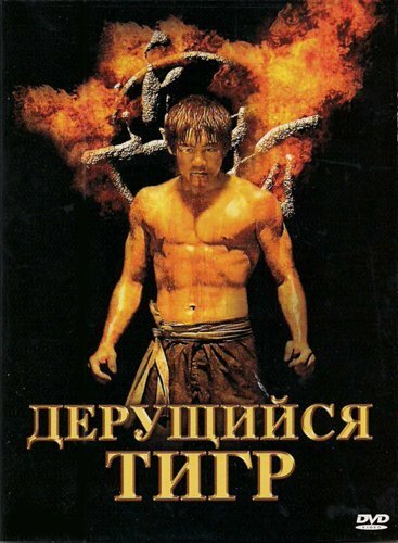 Обложка (Постер) Дерущийся тигр / Kinta (2008) HDRip