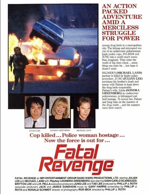 Обложка (Постер) Fatal Revenge (1989) 