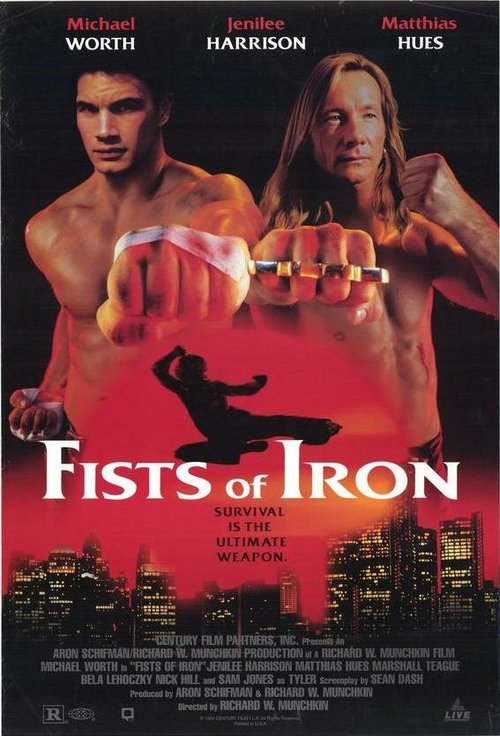 Обложка (Постер) Кастет / Fists of Iron (1995) HDRip