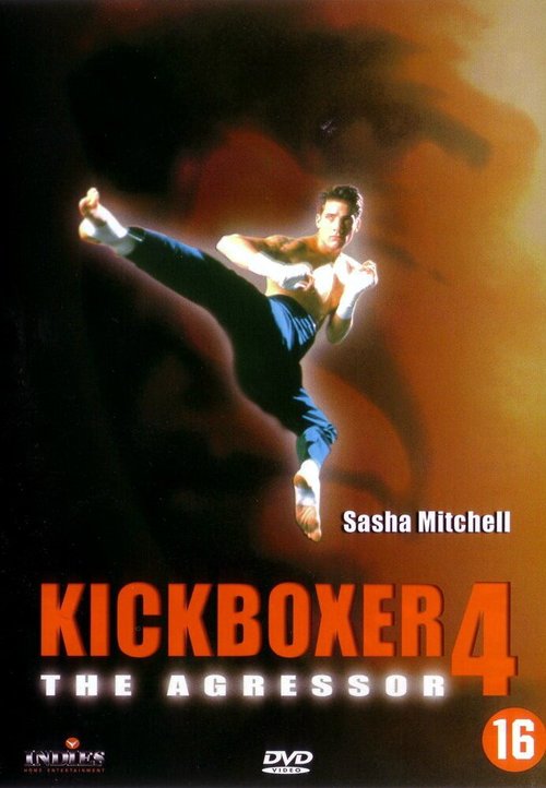 Обложка (Постер) Кикбоксер 4: Агрессор / Kickboxer 4: The Aggressor (1994) HDRip