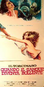 Обложка (Постер) Кляп — когда закипает кровь / Il torcinaso (1975) SATRip