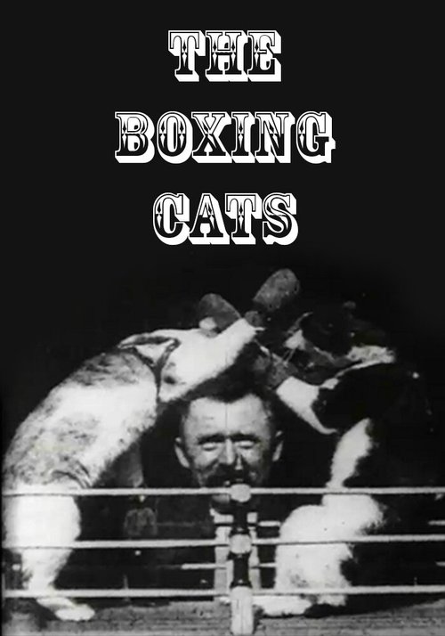 Обложка Кошачий бокс / The Boxing Cats (Prof. Welton's) (1894) 