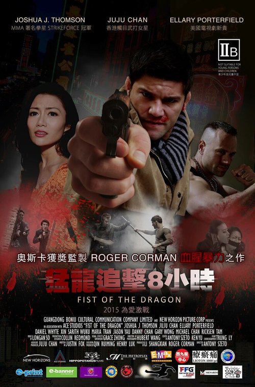 Обложка (Постер) Кулак дракона / Fist of the Dragon (2014) HDRip