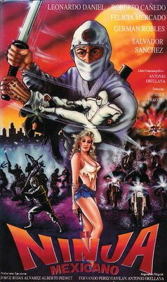 Обложка (Постер) Мексиканский ниндзя / El ninja mexicano (1991) 