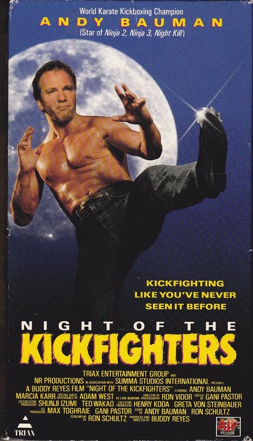 Обложка (Постер) Night of the Kickfighters (1988) 