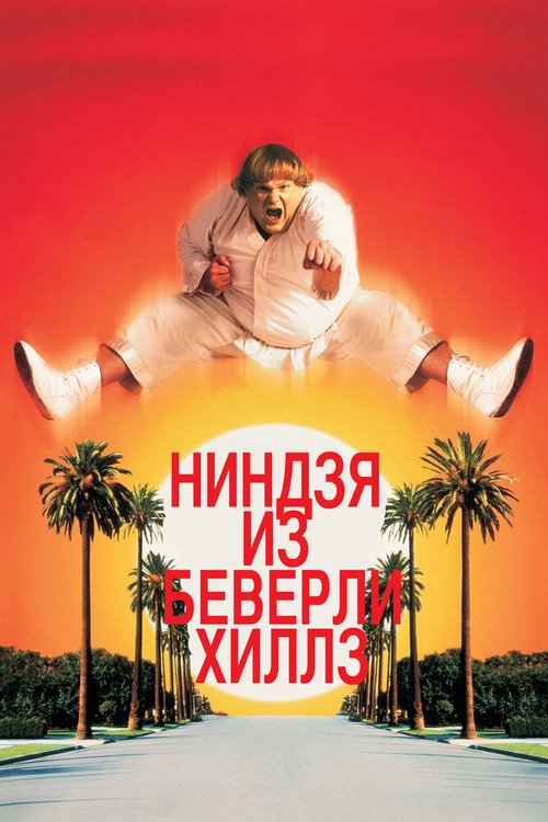 Обложка (Постер) Ниндзя из Беверли Хиллз / Beverly Hills Ninja (1997) HDRip