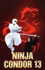 Обложка (Постер) Ниндзя-стервятник / Ninjas, Condors 13 (1987) SATRip