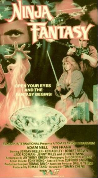 Обложка (Постер) Ninja Fantasy (1986) SATRip
