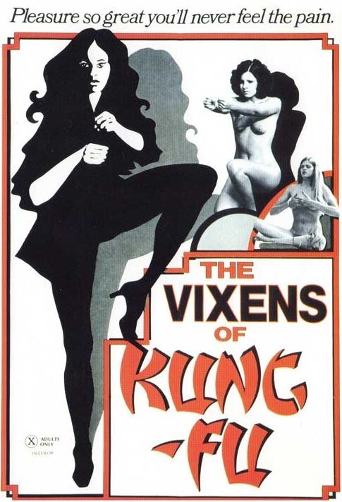 Обложка (Постер) Повесть об Инь Ян / The Vixens of Kung Fu (A Tale of Yin Yang) (1975) SATRip
