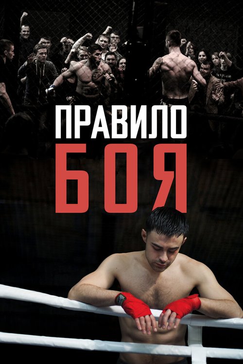 Обложка (Постер) Правило боя (2017) HDRip