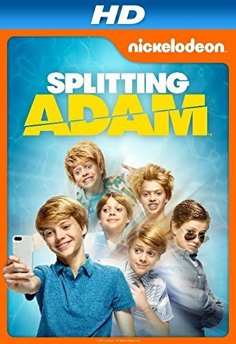 Обложка (Постер) Расщепление Адама / Splitting Adam (2015) HDRip