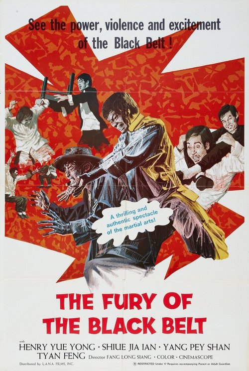 Обложка (Постер) Разбуженная энергия / Shi po tian jian (1973) SATRip