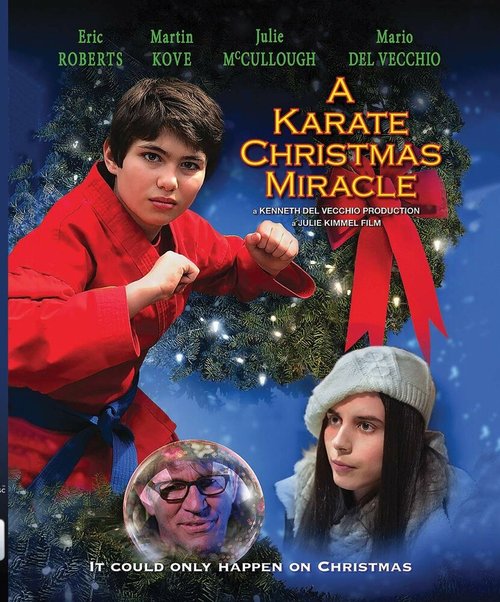 Обложка (Постер) Рождественское чудо в стиле карате / A Karate Christmas Miracle (2019) HDRip