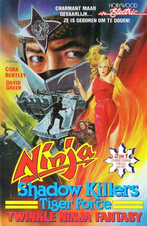 Обложка (Постер) Shadow Killers Tiger Force (1986) SATRip