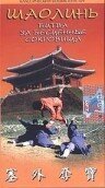 Обложка (Постер) Шаолинь: Битва за бесценные сокровища / Sai wai duo bao (1982) SATRip