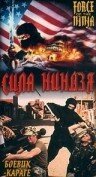 Обложка (Постер) Сила ниндзя / Force of the Ninja (1988) SATRip