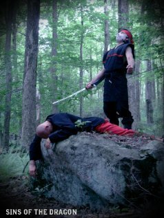 Обложка (Постер) Sins of the Dragon (2012) HDRip