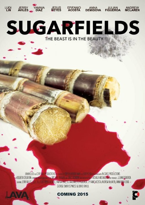 Обложка (Постер) Sugarfields  
