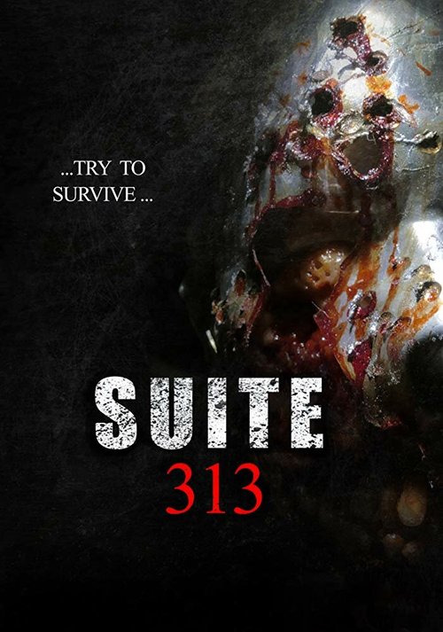 Обложка (Постер) Suite 313 (2017) HDRip