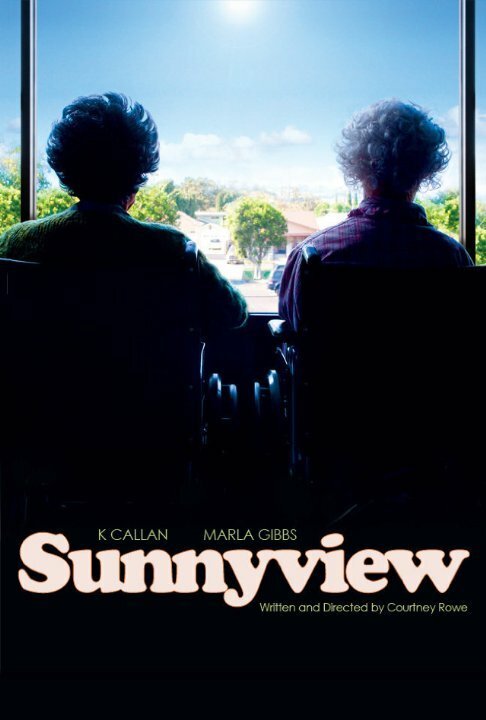 Обложка (Постер) Sunnyview (2010) 