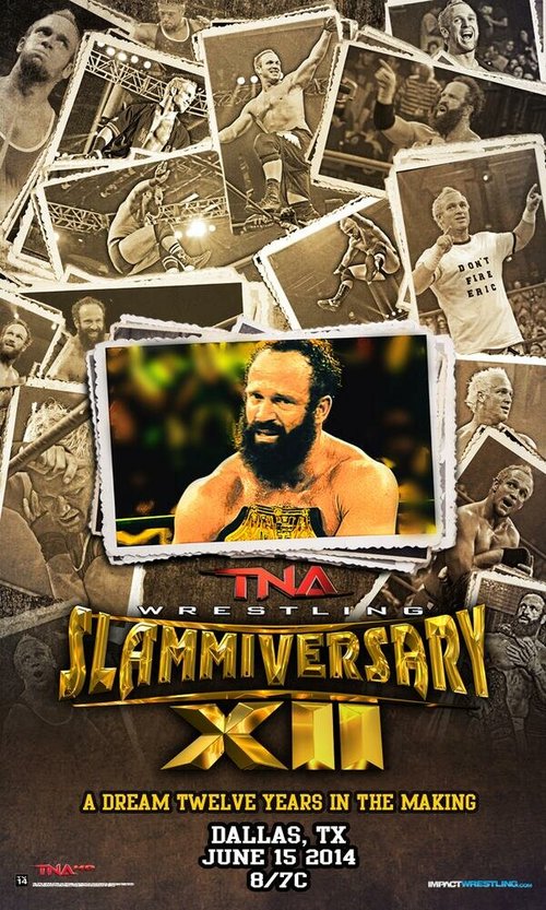 Обложка (Постер) TNA Сламмиверсари 12 / Slammiversary XII (2014) 