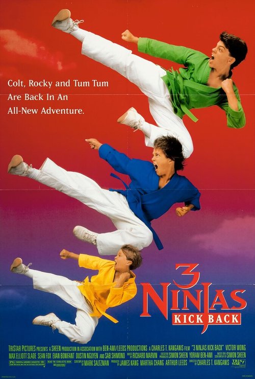 Обложка (Постер) Три ниндзя наносят ответный удар / 3 Ninjas Kick Back (1994) HDRip