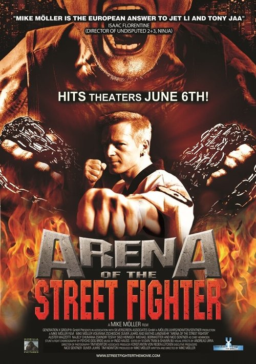 Обложка (Постер) Уличный боец / Arena of the Street Fighter (2012) HDRip