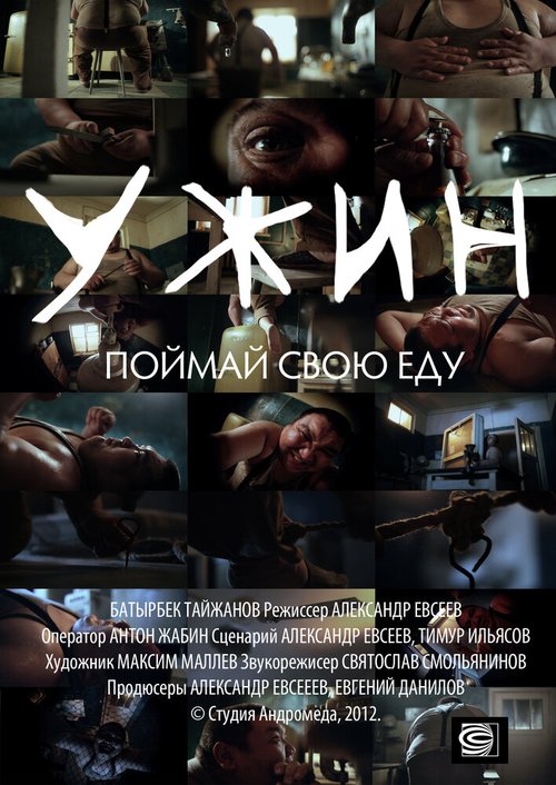 Обложка (Постер) Ужин (2012) 