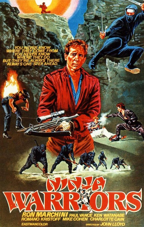 Обложка (Постер) Воины ниндзя / Ninja Warriors (1985) SATRip