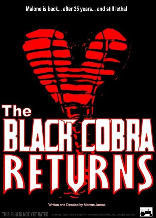 Обложка (Постер) Возвращение Черной кобры / The Black Cobra Returns  
