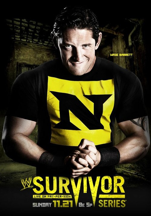 Обложка (Постер) WWE Серии на выживание / Survivor Series (2010) HDRip
