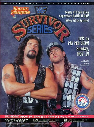 Обложка (Постер) WWF Серии на выживание / WWF Survivor Series (1995) HDRip