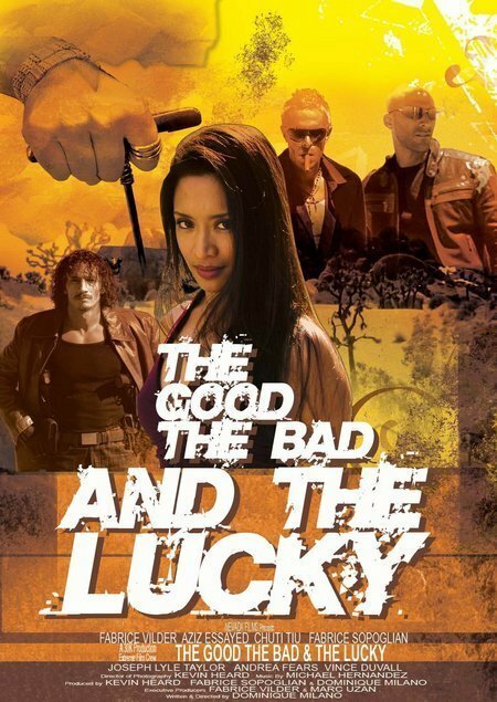 Обложка За портфель бриллиантов / For a Fistful of Diamonds (2009) 